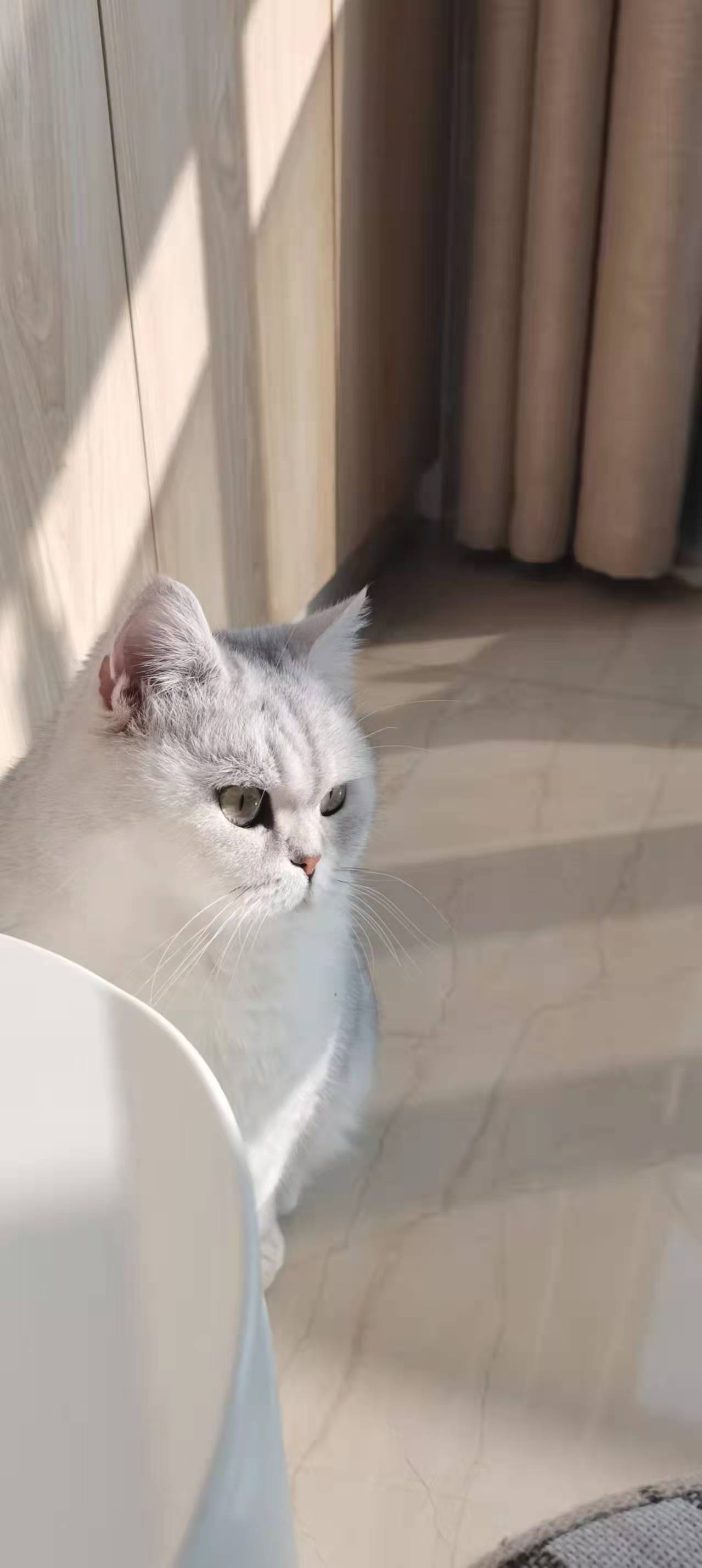 咪宝